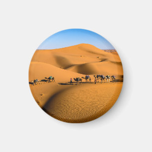 Imán camellos en el desierto bajo cielo azul