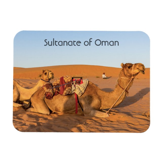 Imán Camellos en el desierto de Omán (Horizontal)