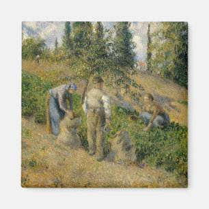 Imán Camille Pissarro el   la cosecha, Pontoise