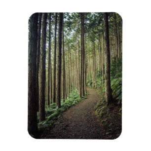 Imán Caminando en las montañas el   Wakayama, Japón