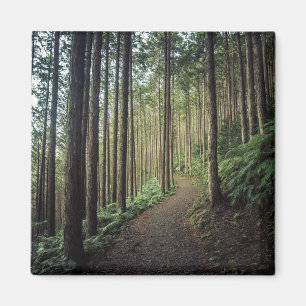 Imán Caminando en las montañas el   Wakayama, Japón