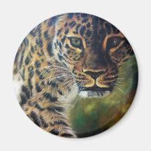 Caminando leopardo al atardecer