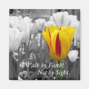 Imán Caminar por Faith Magnet