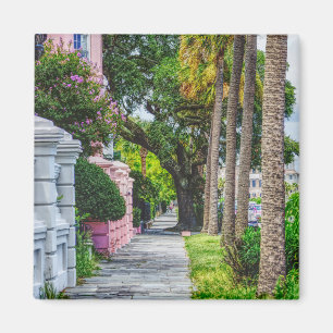 Imán Caminar por la fila del arco iris