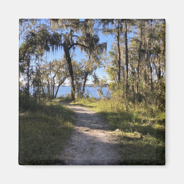 Imán Camino a orillas del río (Frente)