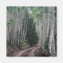 Imán Camino a través del río Birch