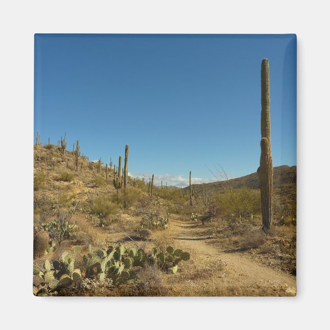 Imán Camino carillo de Saguaro en el Parque Nacional de (Frente)