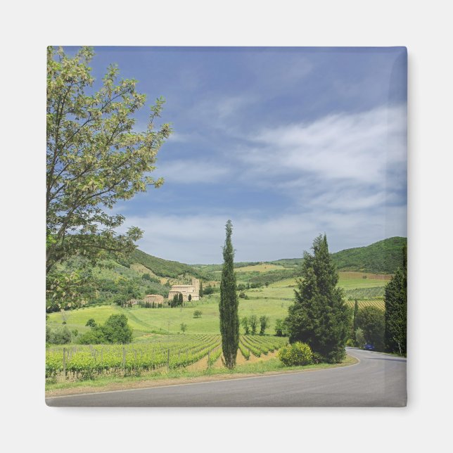 Imán Camino de campo curvando entre cipreses en (Frente)