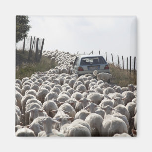 Imán camino de las tierras de labrantío de Toscana,