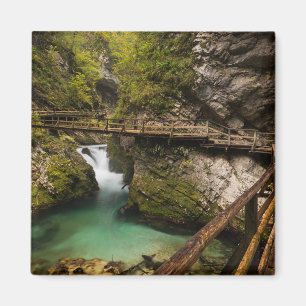 Imán Camino de madera a través del cañón de la garganta