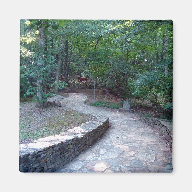 Imán Camino de Piedra Ruta de la Ridge Este Amicalola M (Frente)