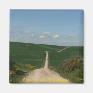 Imán Camino de Santiago