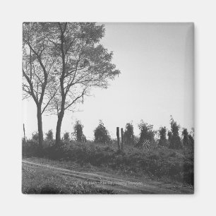 Imán Camino de tierra por el campo B&W