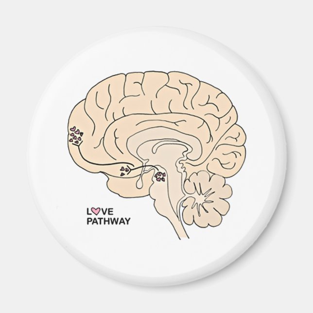 Imán Camino del Amor: Amor en el Cerebro (Frente)