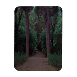 Imán Camino en Parque (por Santiago Rusiñol)
