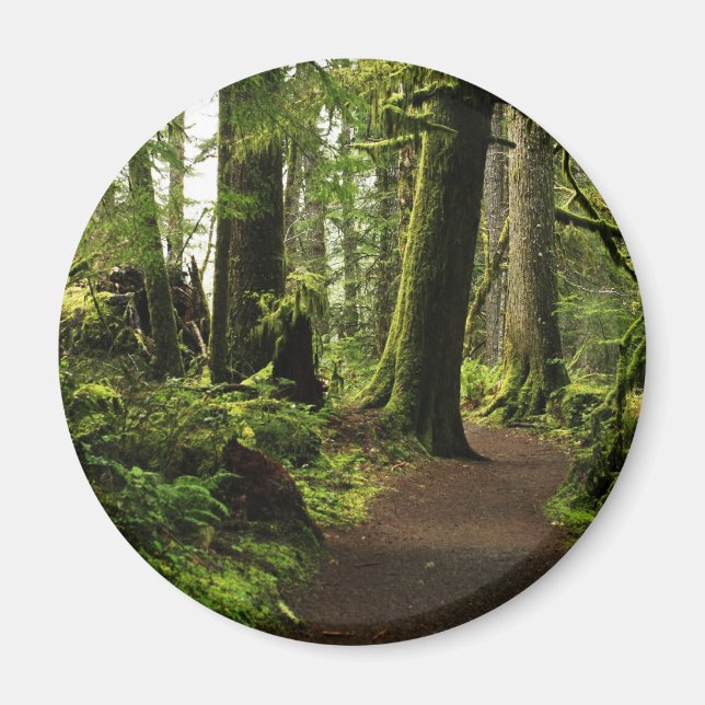 Imán Camino Entre Gigantes (Frente)