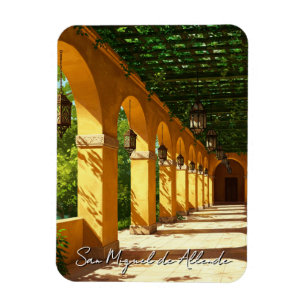 Imán Camino por San Miguel de Allende México Viaje
