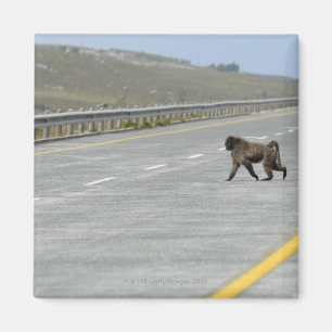 Imán Camino solo de la carretera de la travesía del
