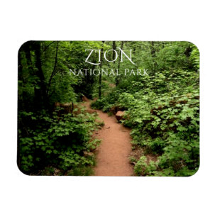 Imán Camino Taylor Creek, Kolob Canyons Zion NP Utah