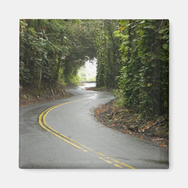 Imán Caminos eólicos a través de la selva tropical, Isl (Frente)
