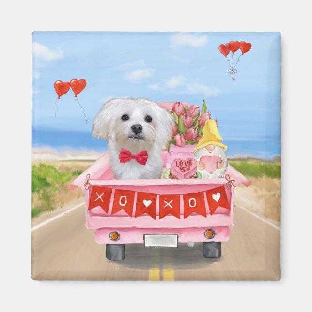Imán Camión El día de San Valentín de perro de Malta (Frente)