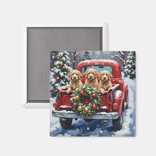 Imán Camioneta Roja de Navidad Cockapoo Fiesta (Anverso/Reverso)