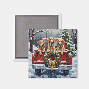 Imán Camioneta Roja de Navidad del Lebrel Irlandés Rega