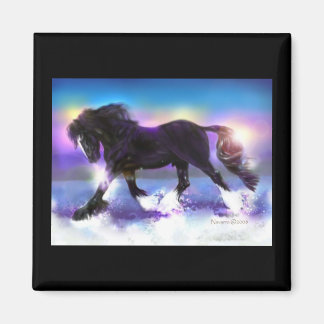 Imán Camisa de pies negros