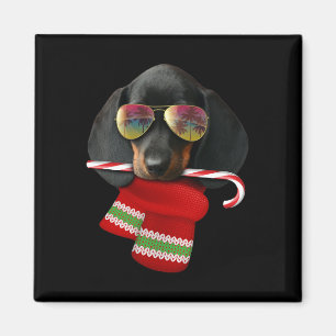 Imán Camiseta Navidad En Julio Dachshund Sungles Amor P