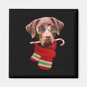Imán Camiseta Navidad En Julio Labrador Gafas De Sol Pe