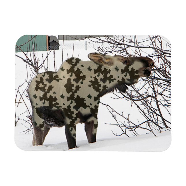 Imán Camouflage Moose (Horizontal)