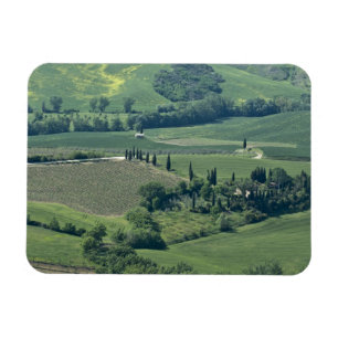 Imán Campo cerca de Montepulciano, Val d'Orcia,