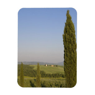 Imán Campo cerca de Pienza. Val d'Orcia, Siena
