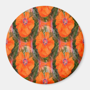 Imán Campo de amapola chino...