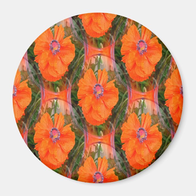 Imán Campo de amapola chino... (Frente)