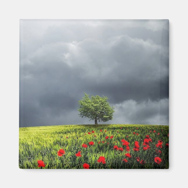 Imán Campo de amapola y cielo nublado (Frente)