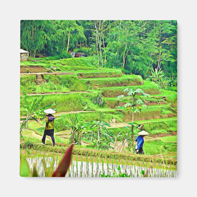Imán Campo de arroz de Indonesia (Frente)