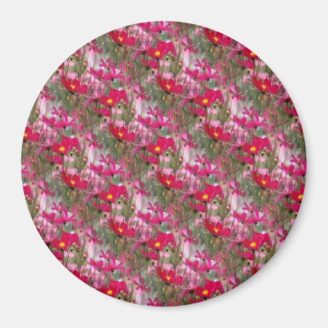 Imán Campo de Cosmos........ (Frente)