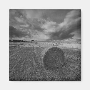 Imán Campo de la cebada de B&W