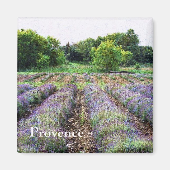 Imán campo de lavanda - Provenza (Frente)