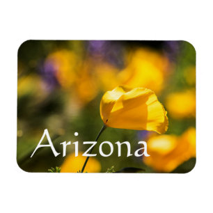 Imán Campo de los amapolas bailarinas, Arizona