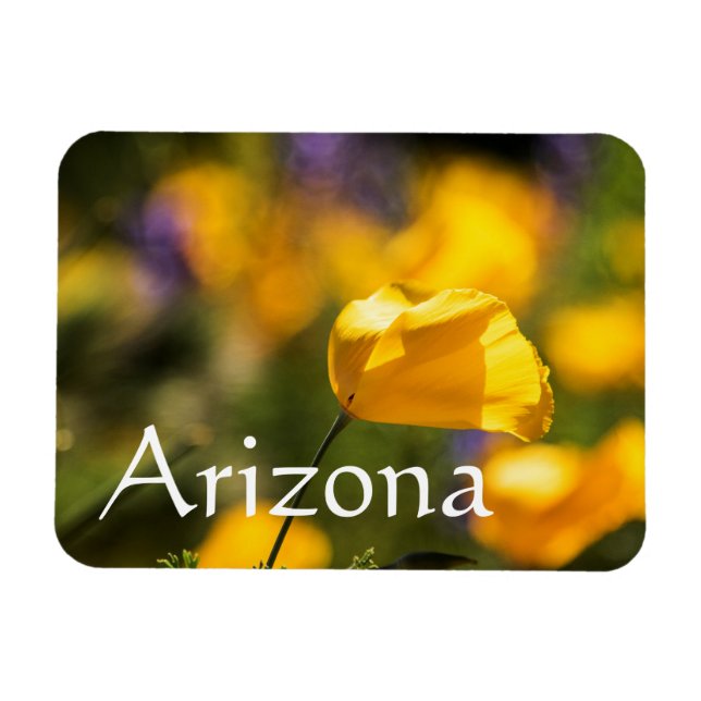 Imán Campo de los amapolas bailarinas, Arizona (Horizontal)