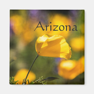 Imán Campo de los amapolas bailarinas, Arizona