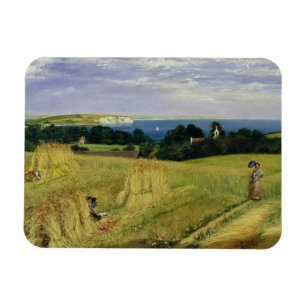 Imán Campo de maíz en la isla del Wight