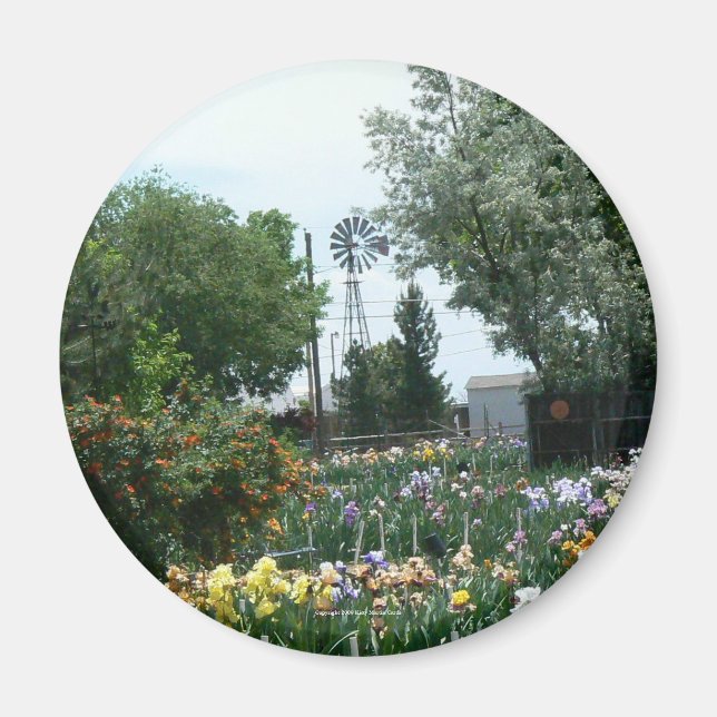 Imán Campo de molino de viento e iris (Frente)