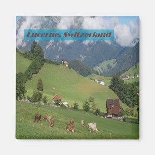 Imán Campo de Suiza