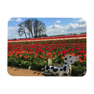 Imán Campo de tulipán con vaca de juguete, Oregón