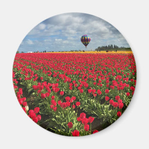 Imán Campo de tulipán rojo con globo de aire caliente