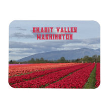 Campo de Tulipanes de Skagit Valley Washington Fri