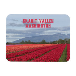 Imán Campo de Tulipanes de Skagit Valley Washington Fri
